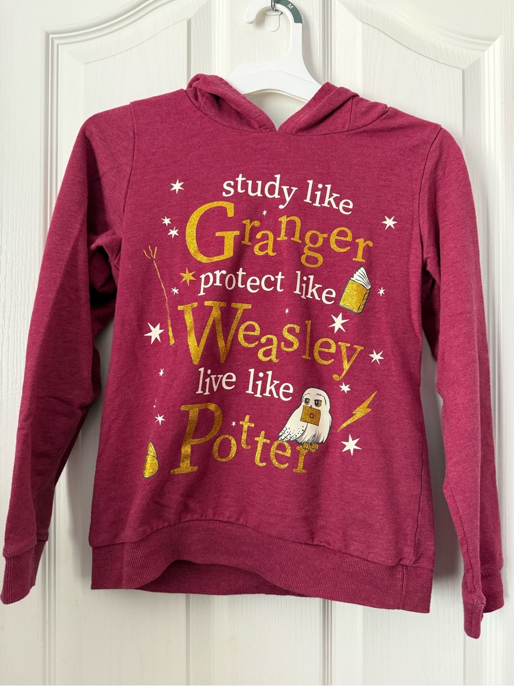 Maroon Hooded Graphic Sweatshirt with Gold Print